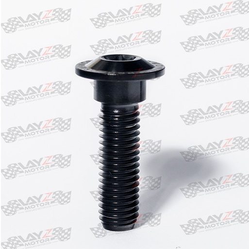 BAUT-DISK-BLACK_LOW