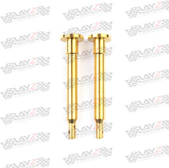 PIN-BREMBO-GOLD-1LOW
