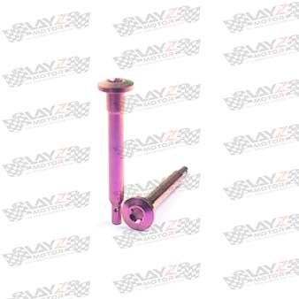 PIN-BREMBO-PURPLE-copy-2-1LOW