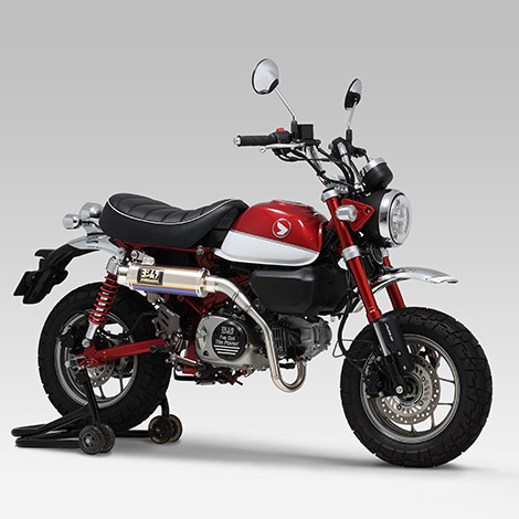 monkey-2